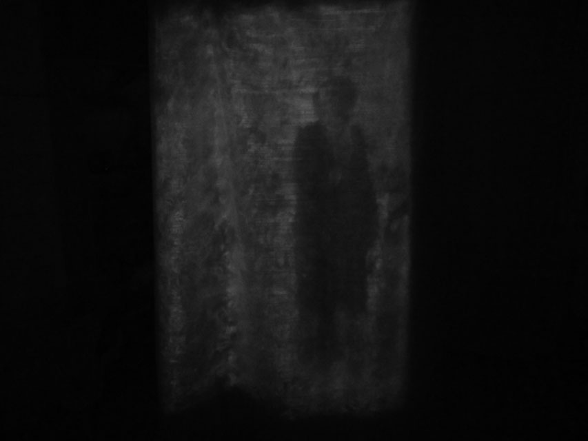 Divenire ambiente, 2010