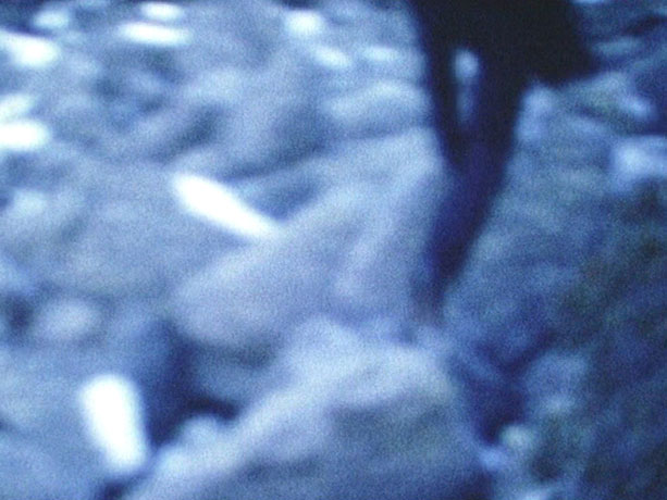 Muro, 2010