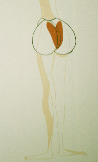 Apertura Culoairbag, 2000