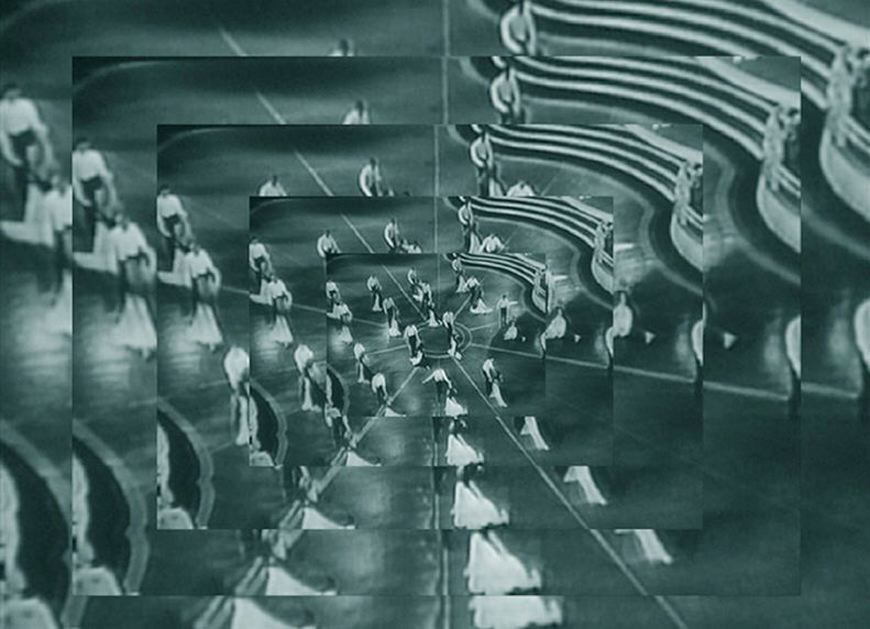 L’evoluzione della specie, 2001