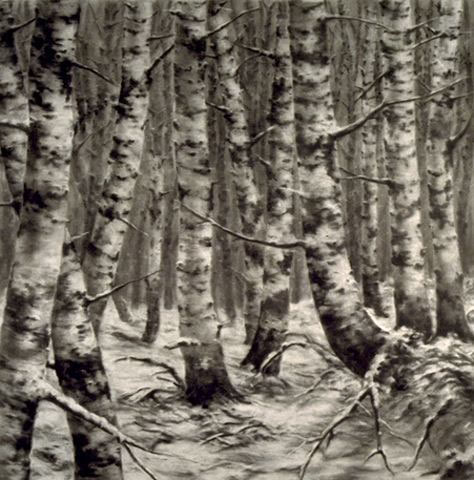 Paesaggio adottivo, 1995