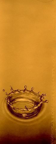 A fior d’acqua, 1996
