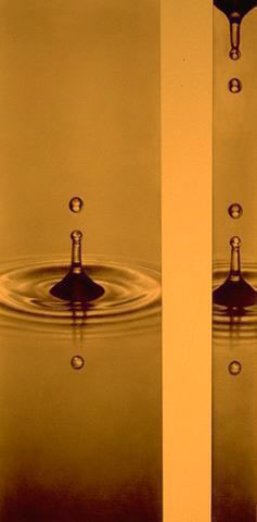 A fior d’acqua, 1996