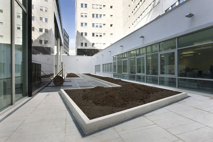 Piccola Giungla Concreta – Tesoro 2010, 2006 – in progress