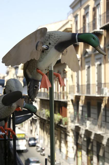 Proscenio, 2009