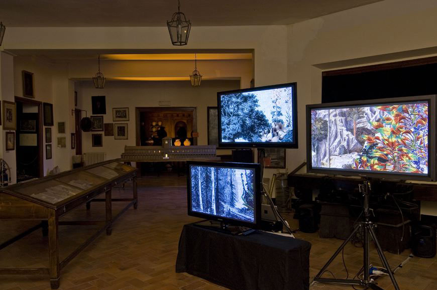 Scene di disordine e confusione, 2010