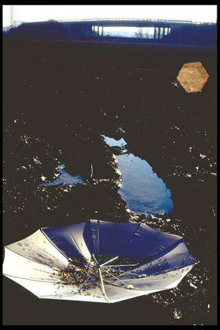 Ombrello e camomilla, 1995