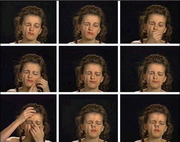 Pupa que etiam carne human vescitur, 1994