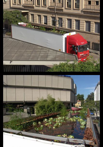 Go wherever you want, bring me whatever you wish, 2004