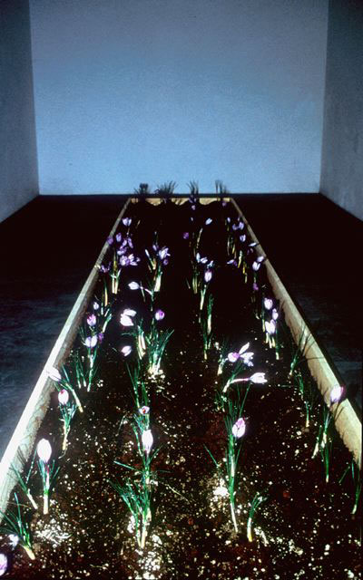 Convivio, 2000